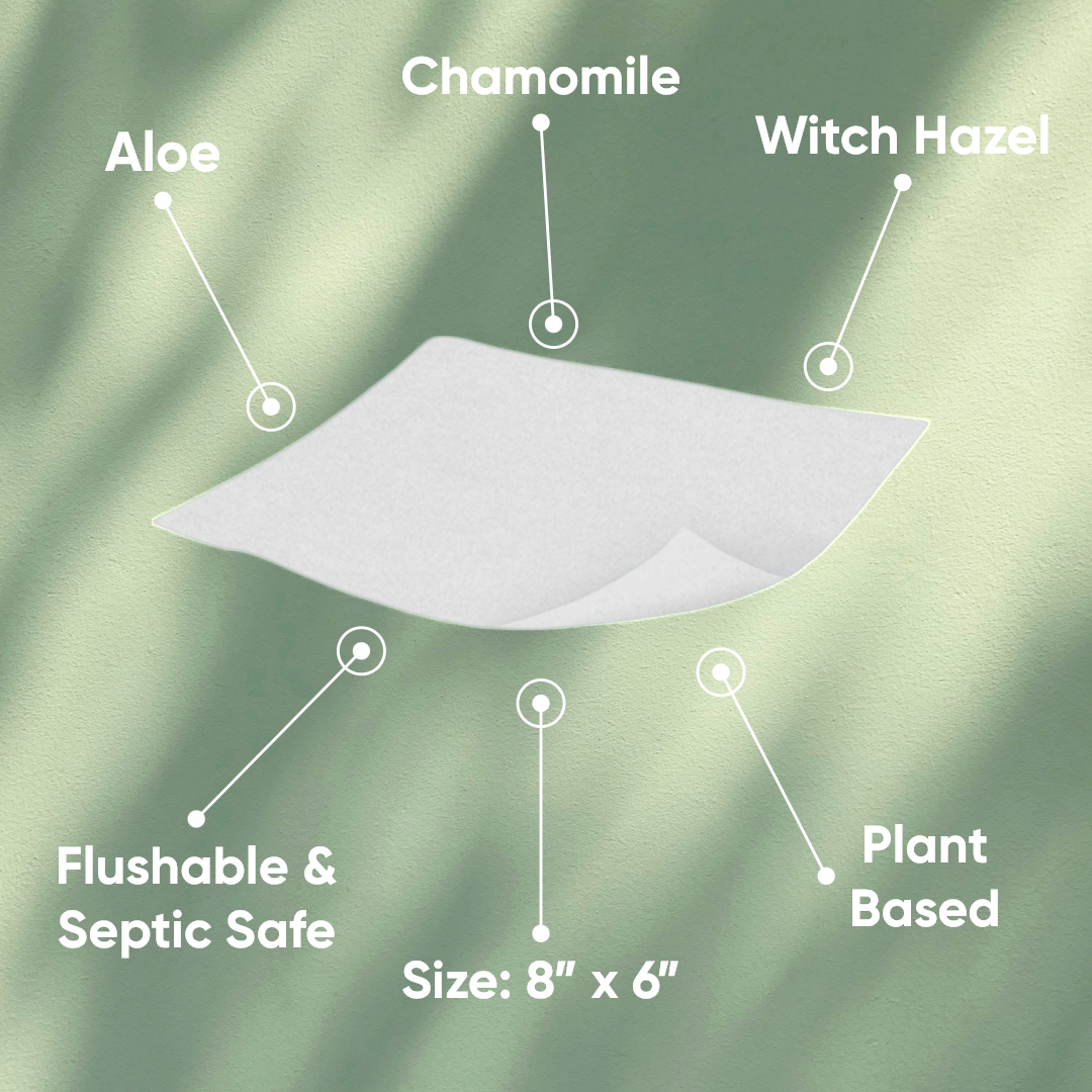 The Essentials Duo | Flushable Wipes + Toilet Seat Covers